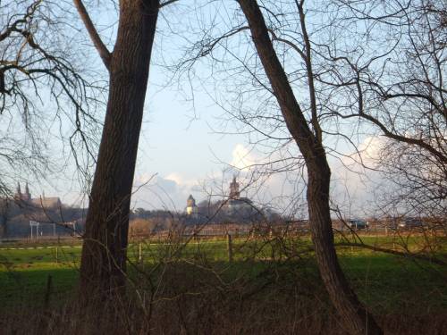 Uitzicht op Kleef met de Zwanenburcht in 2012